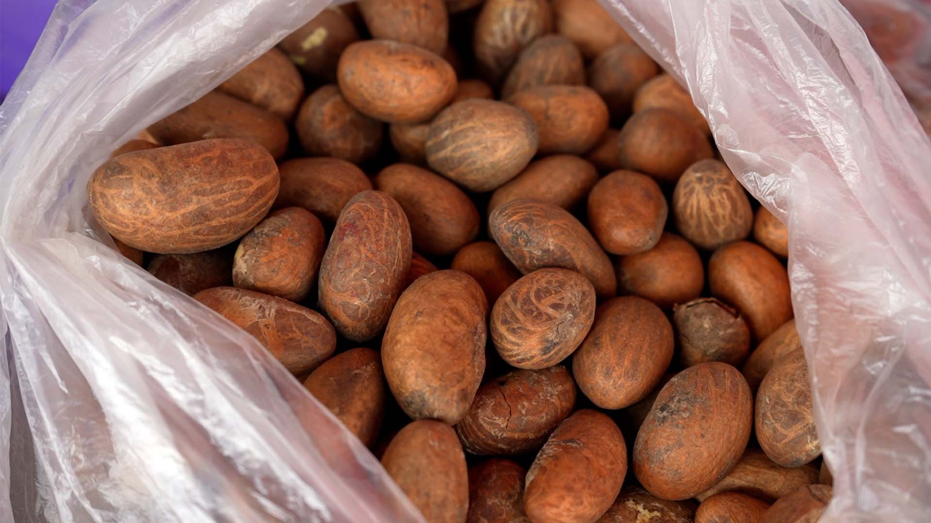 Söker parner att utvecka (Väst Afrika)